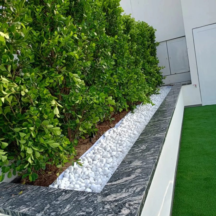 Artificial Grass Installation