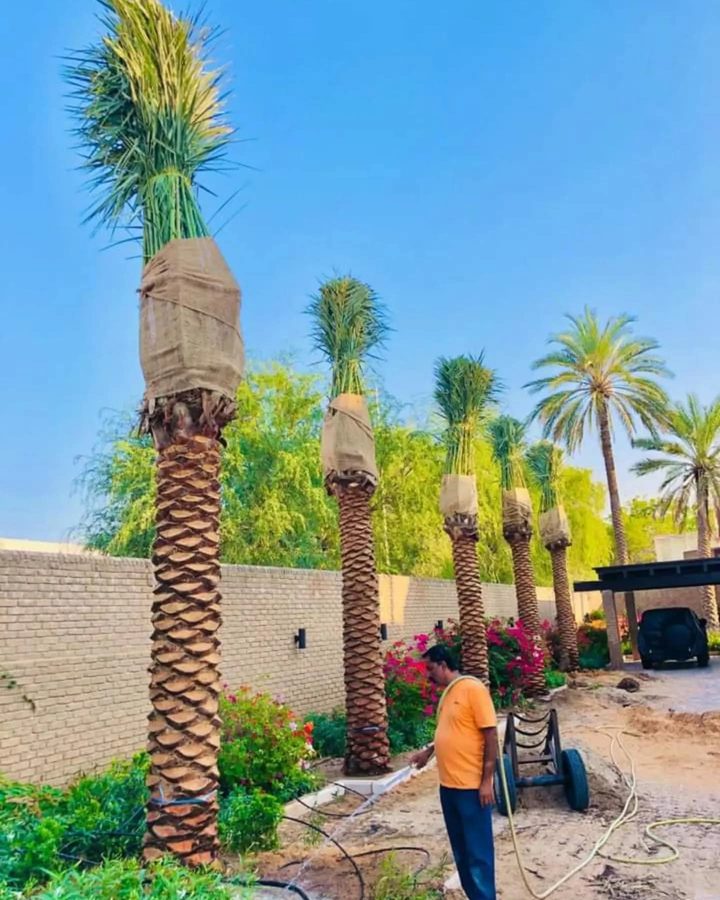 Outdoor Tiling Project